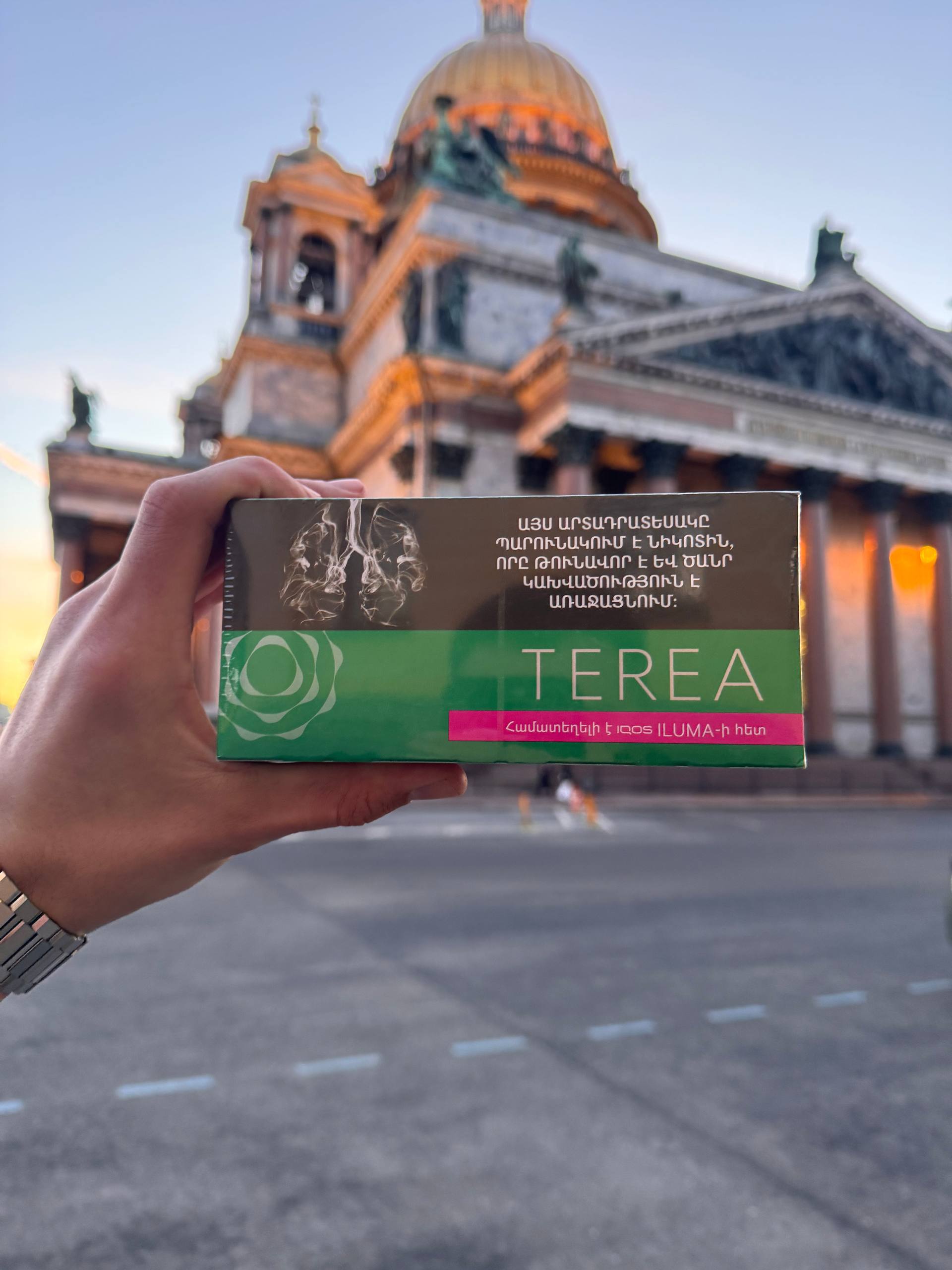 photo_2026-03-12_19-24-22 TEREA Green — изображение 1